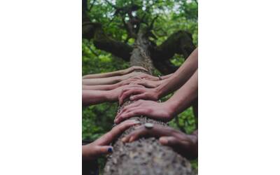 Immagine: shane-rounce-DNkoNXQti3c-unsplash