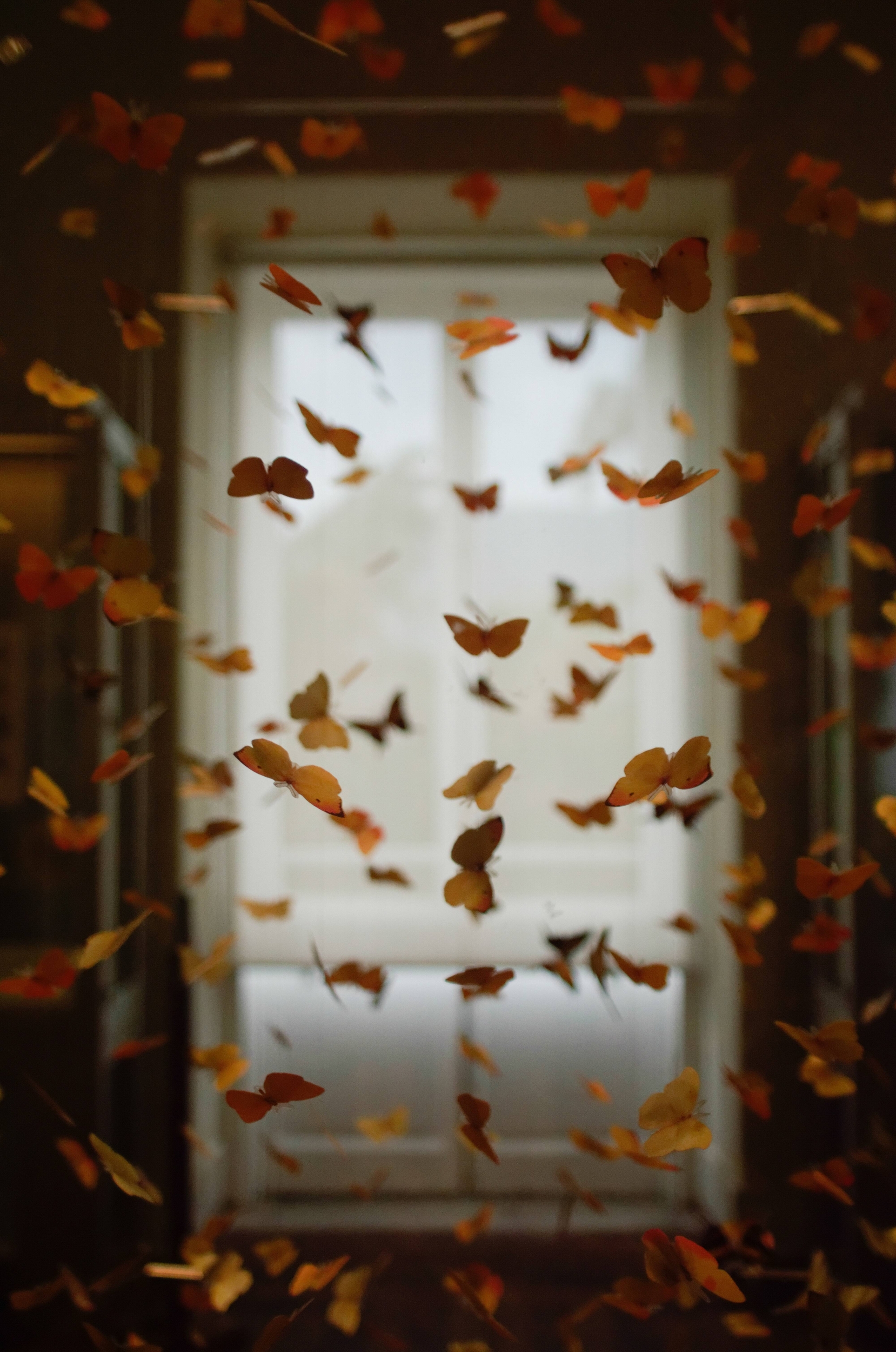 Immagine: shot-by-cerqueira-HEMgXMFpsAw-unsplash