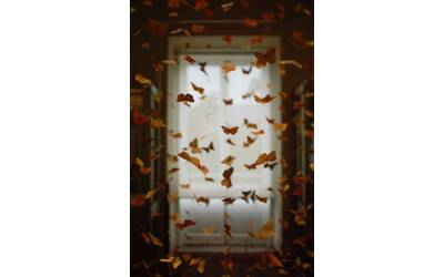 Immagine: shot-by-cerqueira-HEMgXMFpsAw-unsplash