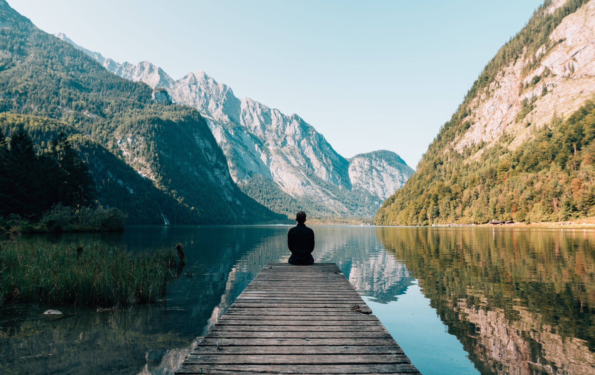 Immagine: simon-migaj-Yui5vfKHuzs-unsplash