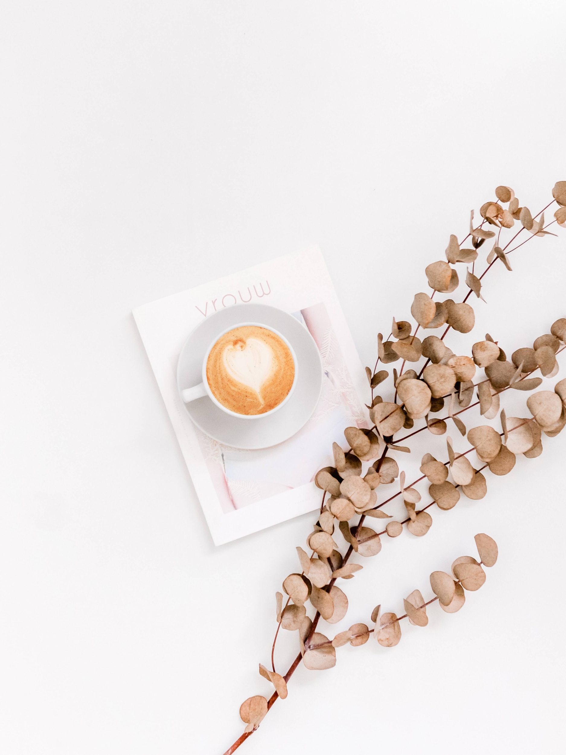 Immagine: sincerely-media-unsplash