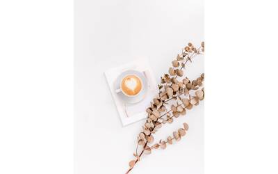 Immagine: sincerely-media-unsplash