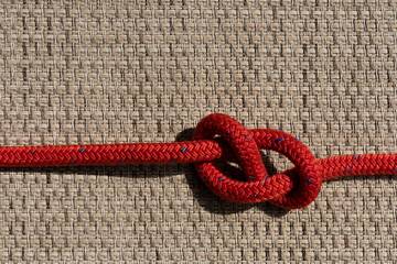 Immagine: Sinergie - nodi - connessione 