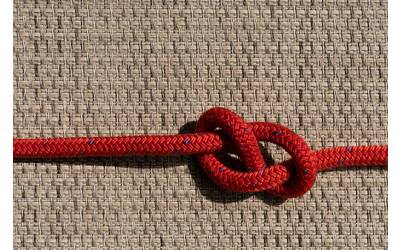 Immagine: Sinergie - nodi - connessione 