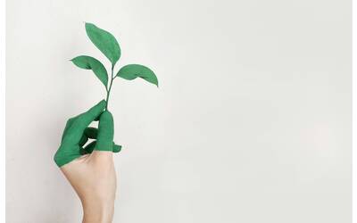 Immagine: Sostenibilità ambientale