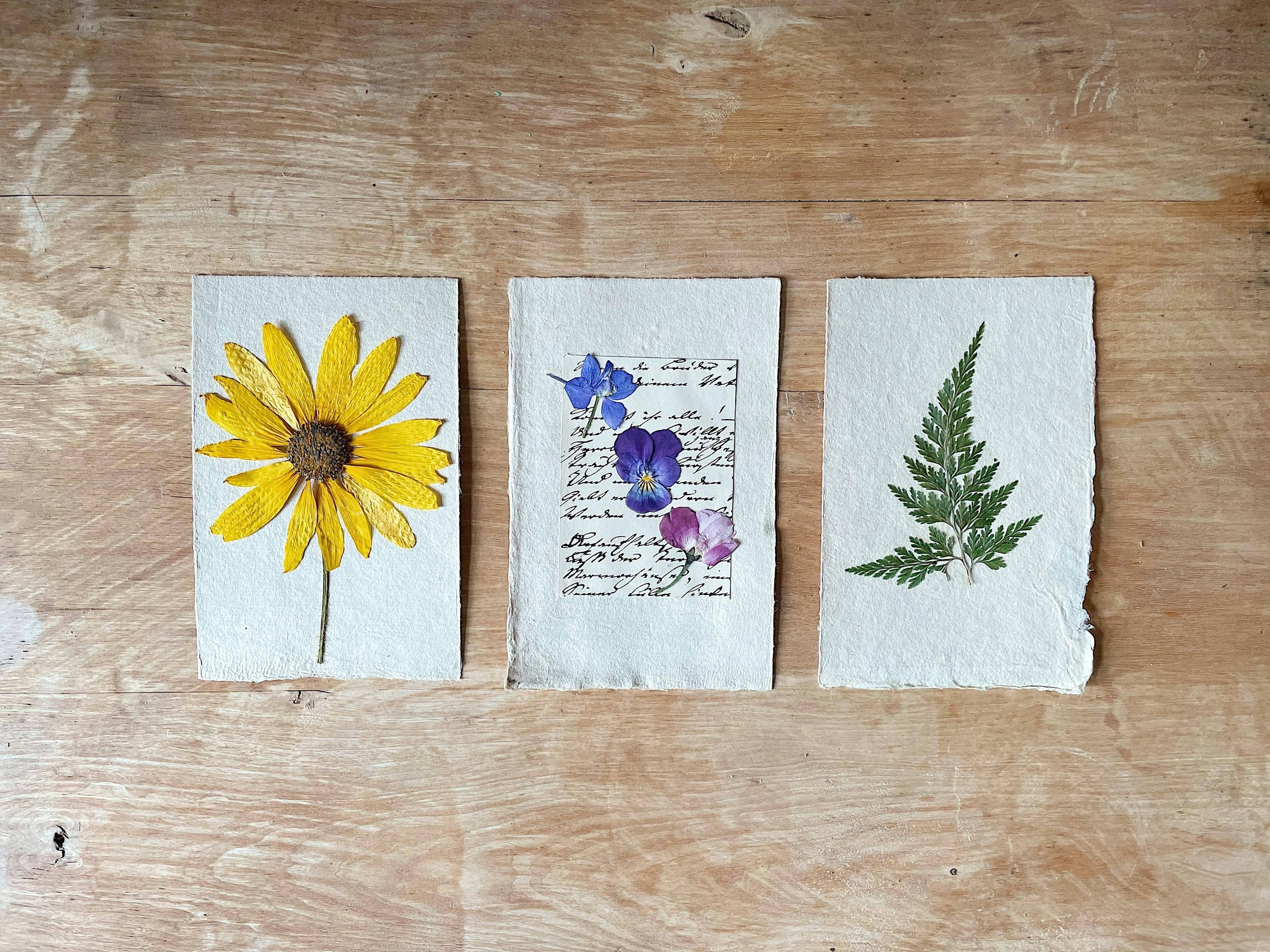 Immagine: stampa natura