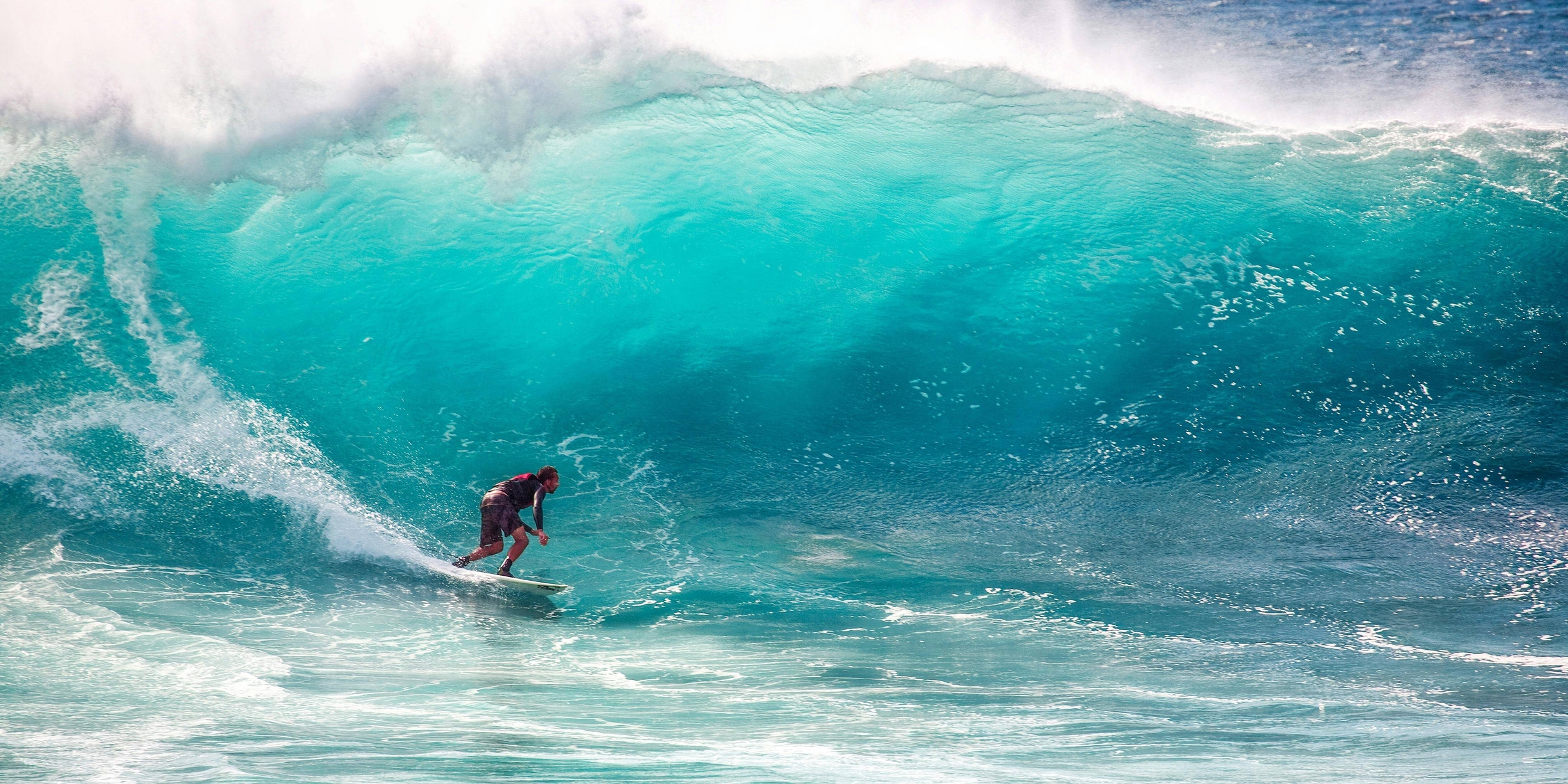 Immagine: Surf
