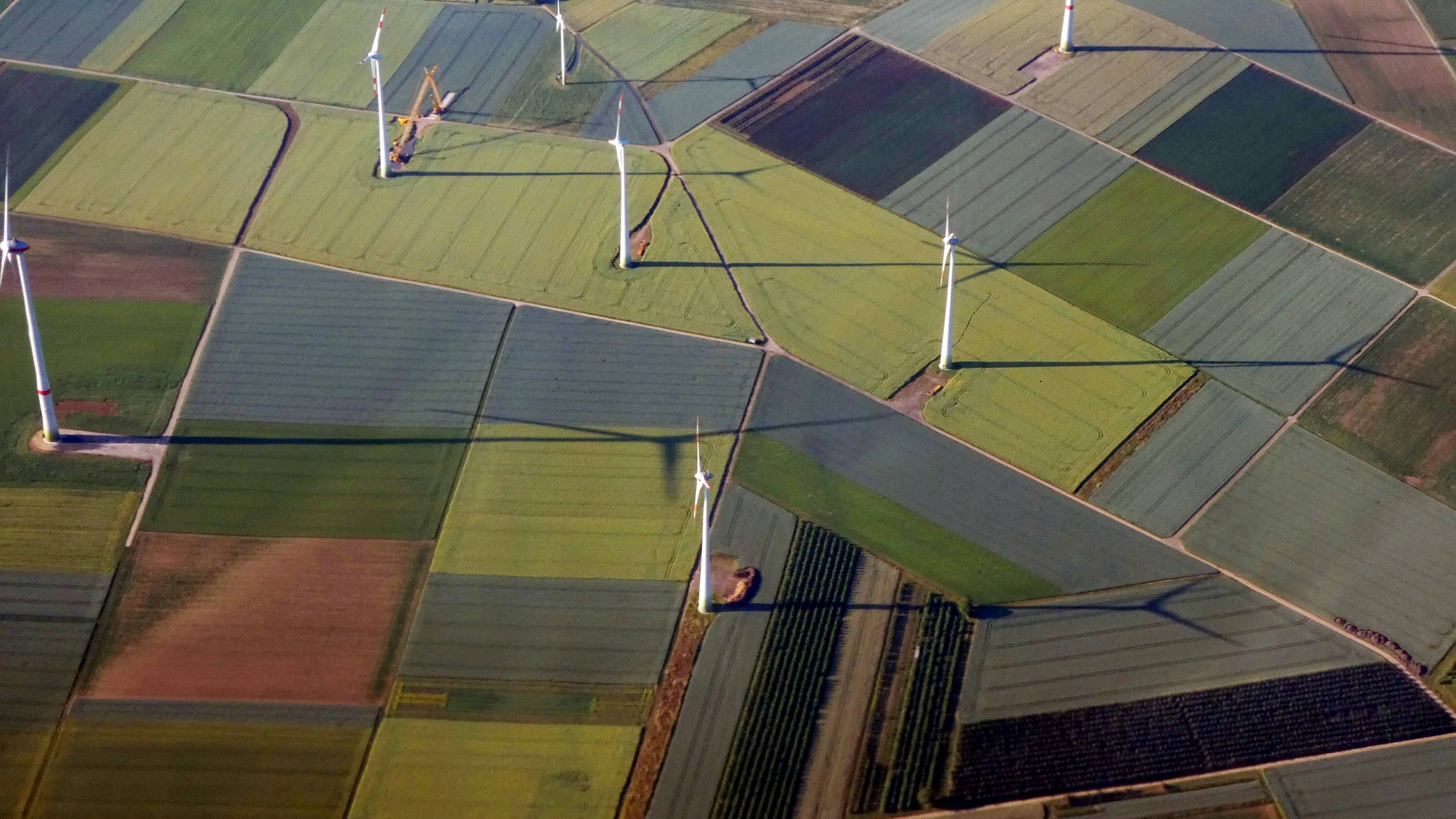 Immagine: Sustainability 