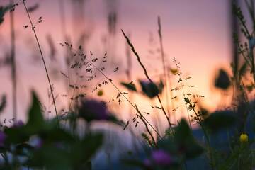 Immagine: territorio