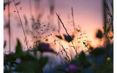 Immagine: territorio