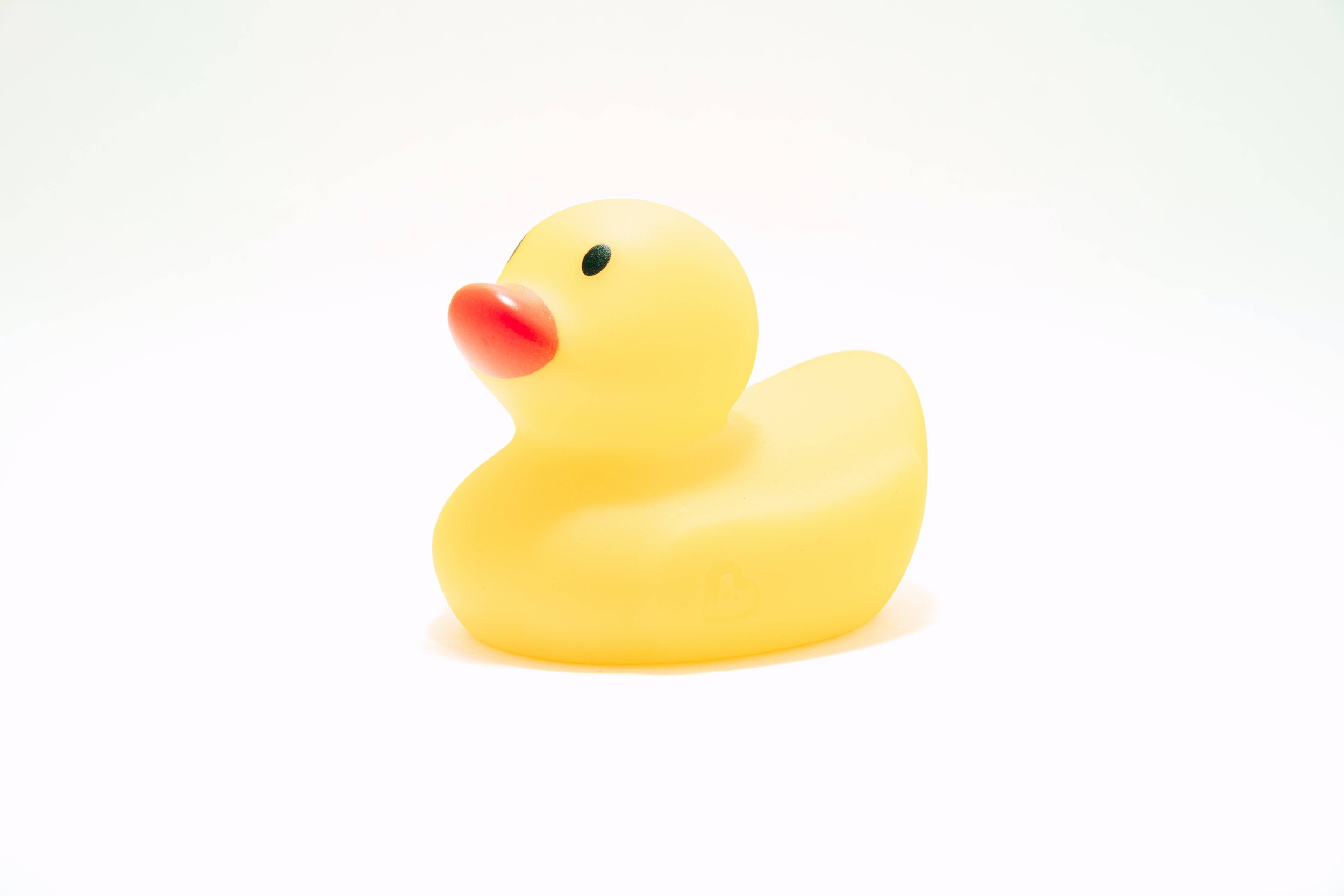 Immagine: timothy-dykes-LhqLdDPcSV8-unsplash