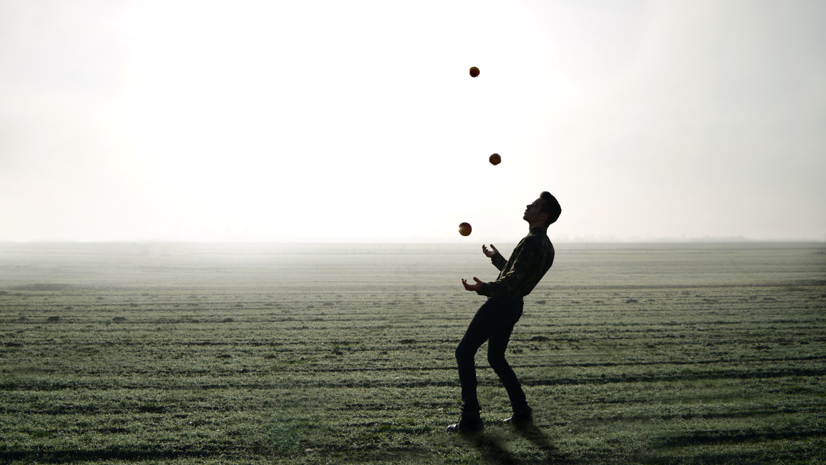 Immagine: Untitled design (1)
