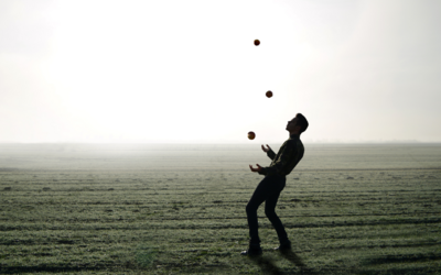 Immagine: Untitled design (1)