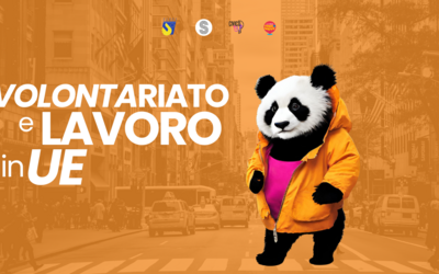 Immagine: Untitled design (3)