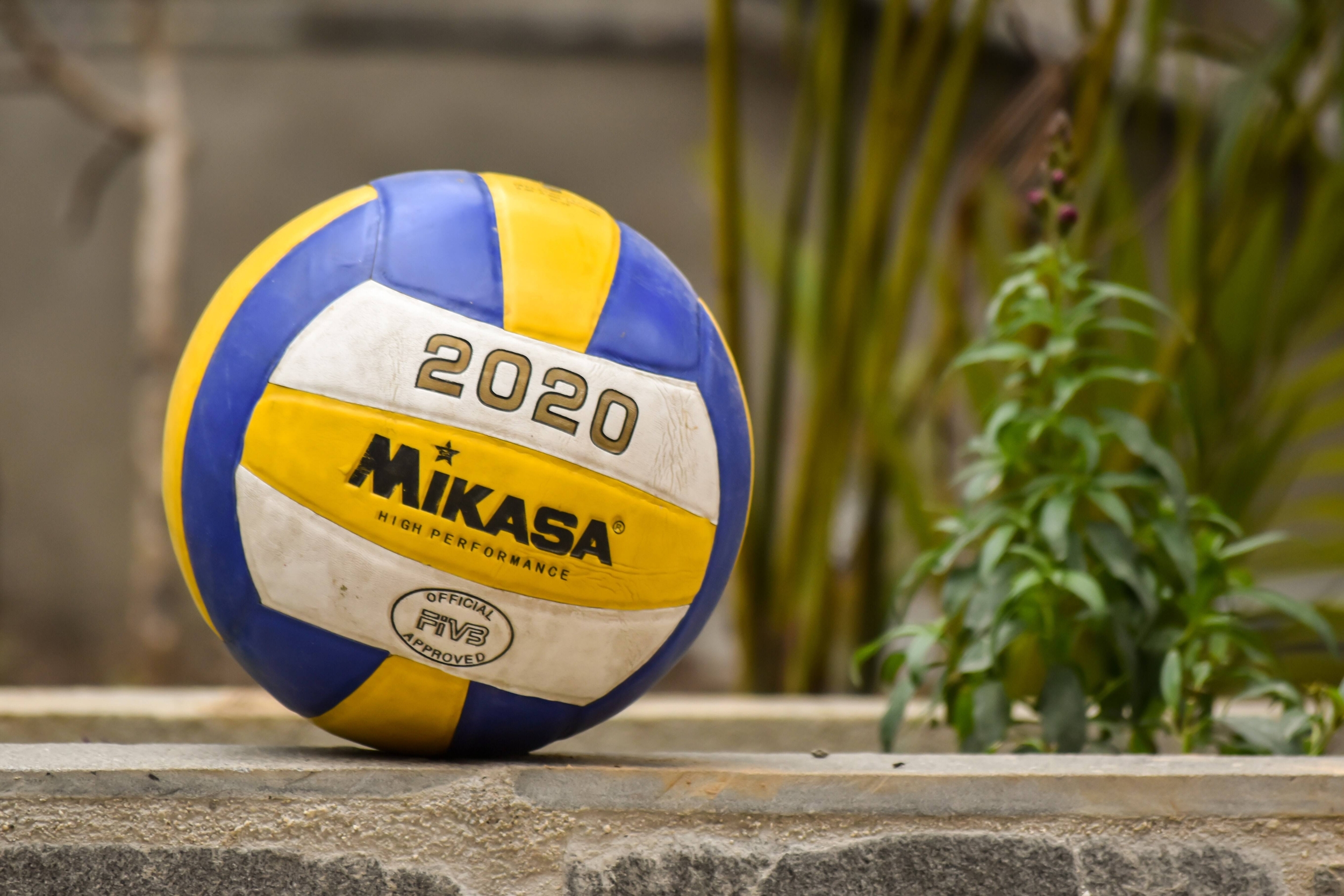 Immagine: volley