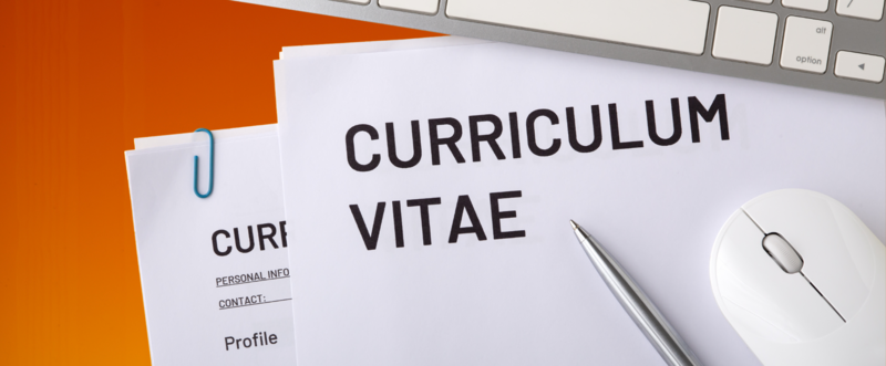 Redazione Curriculum 
